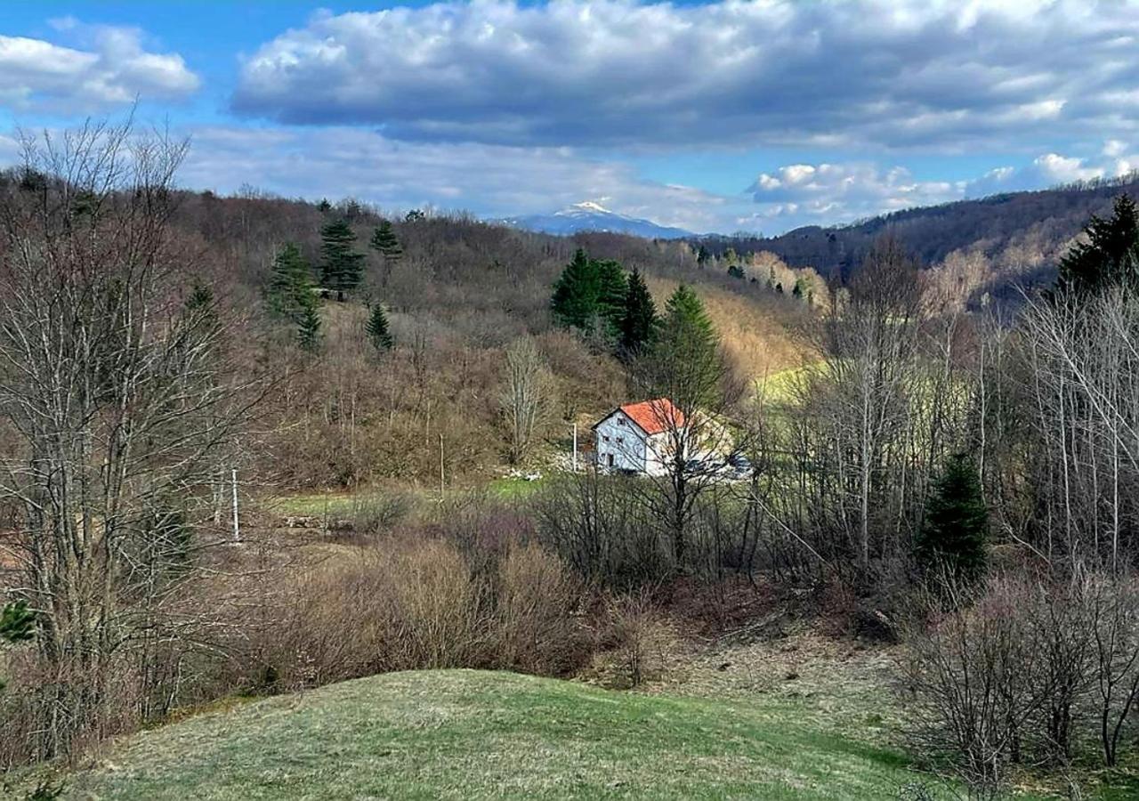 Villa Andjelija Plitvička Jezera Eksteriør billede